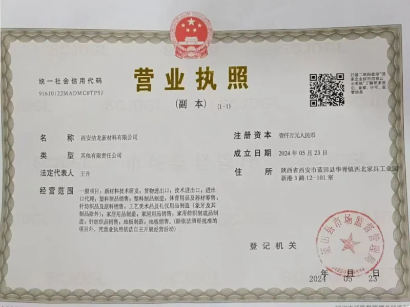 zstp1 (6)
